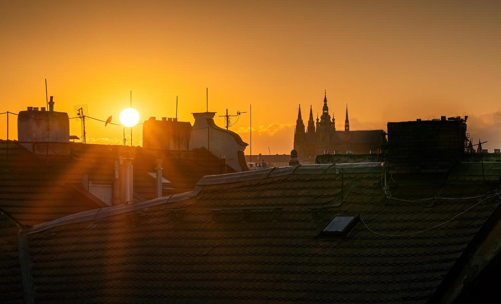 Michal&michael’s Prag